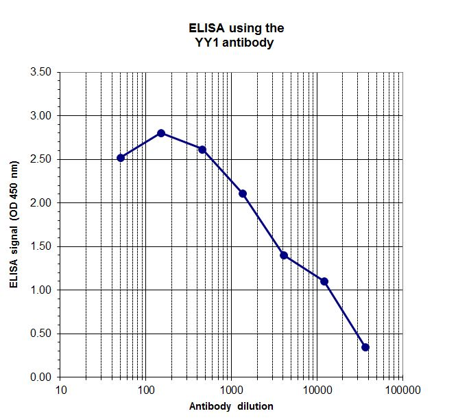 To determine the titer of the antibody, an ELISA was performed using a serial dilution of the YY1 antibody (bs-53085R). The plates were coated with peptides. By plotting the absorbance against the antibody dilution, the titer of the antibody was estimated to be 1:4,800.