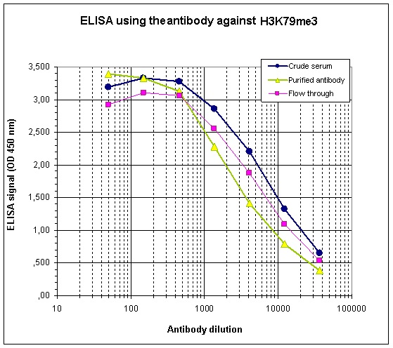 To determine the titer of the antibody, an ELISA was performed using a serial dilution of Bioss antibody directed against H3K79me3 (Cat. No. bs-53121R), crude serum and flow through in antigen-coated wells. The antigen used was a peptide containing the histone modification of interest. By plotting the absorbance against the antibody dilution, the titer of the antibody was estimated to be 1:3,500.