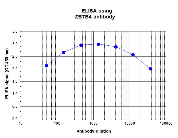 To determine the titer, an ELISA was performed using a serial dilution of the ZBTB4 antibody (bs-53077R). The plates were coated with peptides. By plotting the absorbance against the antibody dilution, the titer of the antibody was estimated to be 1:50,000.