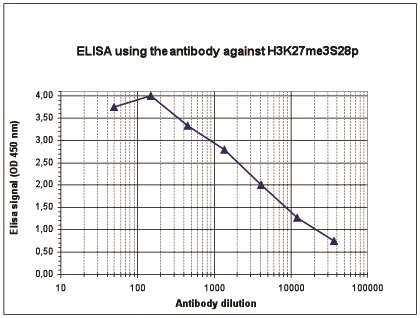 To determine the titer of the antibody, an ELISA was performed using a serial dilution of the Bioss antibody directed against H3K27me3S28p (Cat. No. bs-53132R). The antigen used was a peptide containing the histone modification of interest. By plotting the absorbance against the antibody dilution, the titer of the antibody was estimated to be 1:4,300.