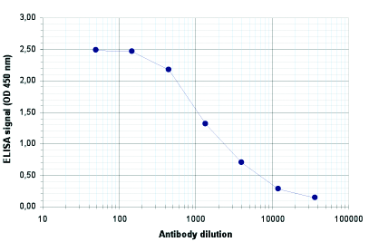 To determine the titer of the antibody, an ELISA was performed using a serial dilution MYH11 Polyclonal Antibody (bs-53091R). The plates were coated with the peptides. By plotting the absorbance against the antibody dilution, the titer of the antibody was estimated to be 1:1,900.