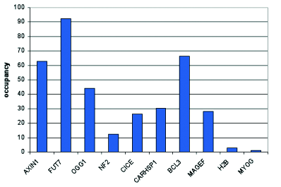 ChIP assays were performed using ME-1 cells, MYH11 Polyclonal Antibody (bs-53091R) and optimized primer pairs for qPCR. Sheared chromatin from 1.5 million cells and 5 μl of antibody were used per ChIP experiment. QPCR was performed using primers specific for the genes indicated. The figure shows the relative occupancy, calculated as the ratio and control/background for which the MYOG gene was used.