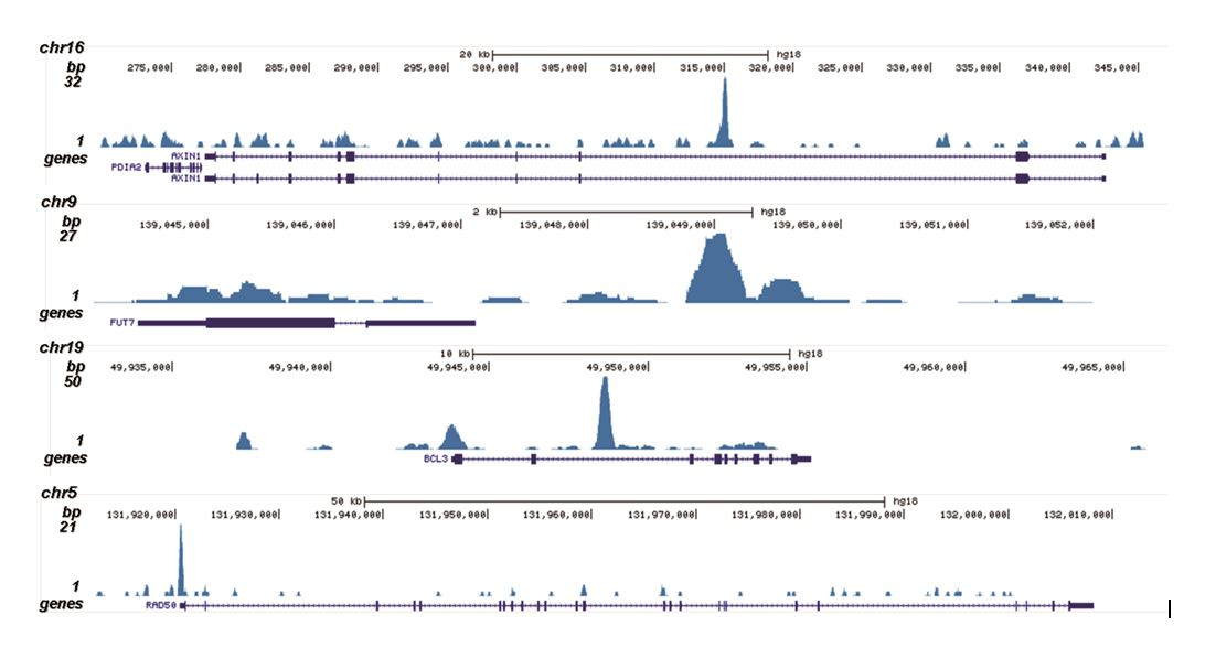 The IP’d DNA from 6 ChIP’s was pooled and subsequently analyzed on an Illumina HiSeq 2000. Library preparation, cluster generation, and sequencing were performed according to the manufacturer’s instructions. The 50 bp tags were aligned to the human genome using the BWA algorithm. The figure shows the signal in 4 genomic regions surrounding the AXIN1, FUT7, BCL3 and RAD50 positive control genes.