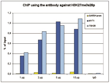 ChIP assays was performed using HeLa cells treated with colcemid, H3K27me3S28p Polyclonal Antibody (Cat. No. bs-53132R) and optimized PCR primer sets for qPCR. ChIP was performed with a ChIP-seq kit, using sheared chromatin from 1 million cells. A titration of the antibody consisting of 1, 2, 5, and 10 μg per ChIP experiment was analyzed. IgG (2 μg/IP) was used as negative IP control. QPCR was performed with primers for the promoter of the active gene GAPDH as a negative control and for the coding regions of the inactive genes MYT1 and TSH2B as positive controls. The figure shows the recovery expressed as a % of input (the relative amount of immunoprecipitated DNA compared to input DNA after qPCR analysis). These results are in accordance with the observation that H3K27me3S28p is preferably present at inactive genes.
