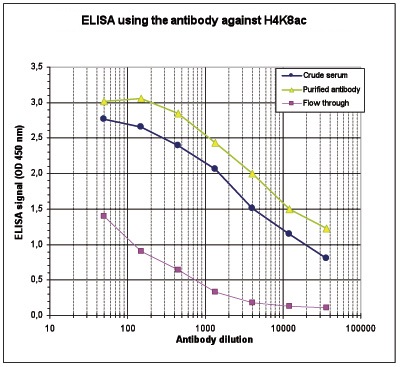 To determine the titer of the antibody, an ELISA was performed using a serial dilution of the Bioss antibody directed against H4K8ac (cat. No. bs-53133R), crude serum and flow through in antigen-coated wells. The antigen used was a peptide containing the histone modification of interest. By plotting the absorbance against the antibody dilution, the titer of the purified antibody was estimated to be 1:16,700.