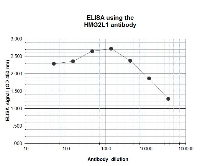 To determine the titer of the antibody, an ELISA was performed using a serial dilution of the antibody directed against human HMG2L1 (bs-53079R). The plates were coated with the peptides used for immunization of the rabbit. By plotting the absorbance against the antibody dilution, the titer of the antibody was estimated to be 1:34,500.