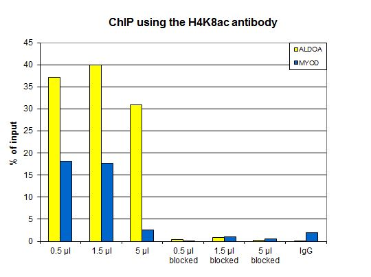 ChIP assays were performed using HeLa cells treated with colcemid, H4K8ac Polyclonal Antibody (bs-53063R) and optimized PCR primer sets for qPCR. ChIP was performed using sheared chromatin from 10,000 cells. A titration of the antibody consisting of 0.5, 1.5, and 5 μl per ChIP experiment was analyzed. Additionally, ChIP was performed after incubation of the antibody with 5 nmol blocking peptide for 1 hour at room temperature. IgG (5 μg/IP) was used as negative IP control. QPCR was performed with primers for the promoter of the active genes ALDOA and MYOD. The figure shows the recovery, expressed as a % of input (the relative amount of immunoprecipitated DNA compared to input DNA after qPCR analysis).