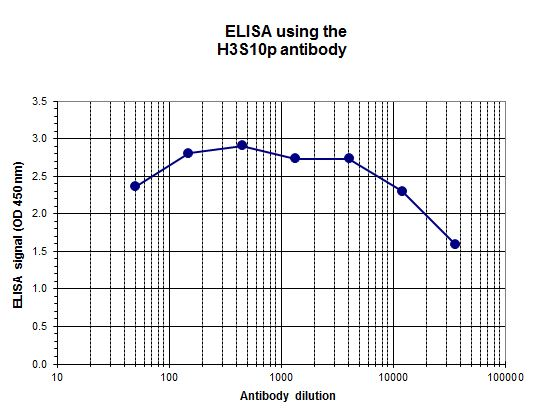 To determine the titer, an ELISA was performed using a serial dilution of the antibody directed against human H3S10p (bs-53069R). The antigen used was a peptide containing the histone modification of interest. By plotting the absorbance against the antibody dilution, the titer of the antibody was estimated to be 1:35,000