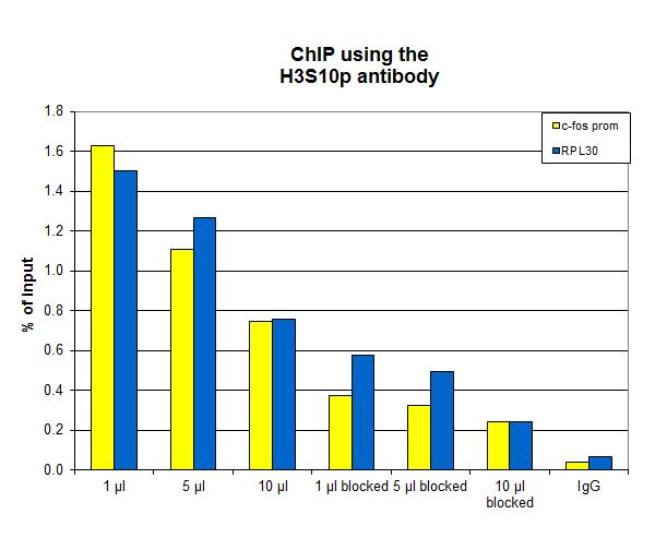 ChIP assays were performed using HeLa cells treated with colcemid, the antibody against H3S10p (bs-53069R) and optimized PCR primer sets for qPCR. ChIP was performed using sheared chromatin from 10,000 cells. A titration of the antibody consisting of 1, 5, and 10 μl per ChIP experiment was analyzed. Additionally, ChIP was performed after incubation of the antibody with 5 nmol blocking peptide for 1 hour at room temperature. IgG (5 μg/IP) was used as negative IP control. QPCR was performed with primers for the promoter of the active genes c-fos and RPL30. The figure shows the recovery, expressed as a % of input (the relative amount of immunoprecipitated DNA compared to input DNA after qPCR analysis).