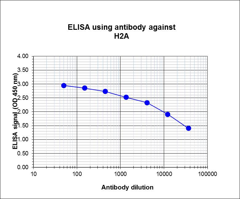 To determine the titer of the antibody, an ELISA was performed using a serial dilution of H2Apan Polyclonal Antibody (bs-53140R) in antigen-coated wells. By plotting the absorbance against the antibody dilution, the titer of the antibody was estimated to be 1:32,500.