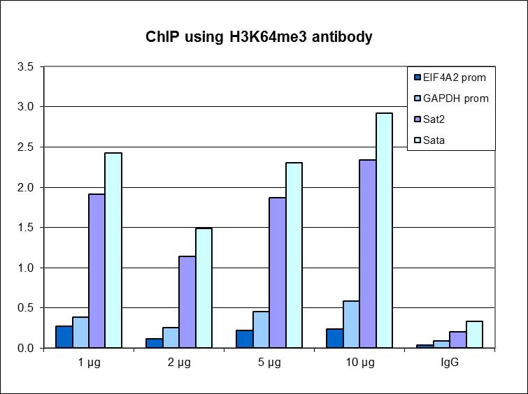 ChIP assays were performed using K562 cells, _x000D_ H3K64me3 Polyclonal Antibody (bs-53144R) and optimized PCR primer sets for qPCR. ChIP was performed with sheared chromatin from 1 million cells. A titration of the antibody consisting of 1, 2, 5, and 10 μg per ChIP experiment was analyzed. IgG (2 μg/IP) was used as negative IP control. QPCR was performed with primers for the promoter of the active GAPDH and EIF4A2 genes, used as negative controls, and for the Sat2 and Sata satellite repeats, used as positive controls. Figure 1 shows the recovery, expressed as a % of input (the relative amount of immunoprecipitated DNA compared to input DNA after qPCR analysis).