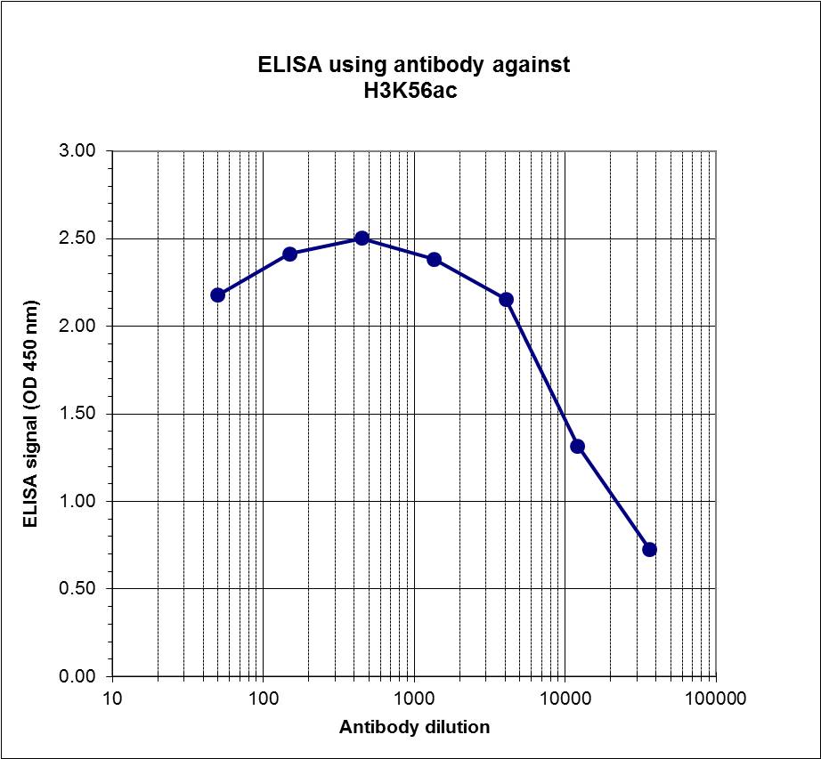 To determine the titer of the antibody, an ELISA was performed using a serial dilution of H3K56ac Polyclonal Antibody (bs-53145R) in antigen-coated wells. The antigen used was a peptide containing the histone modification of interest. By plotting the absorbance against the antibody dilution, the titer of the antibody was estimated to be 1:15,300.