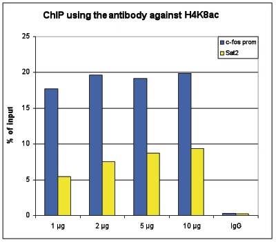 ChIP assays were performed using human HeLa cells, H4K8ac Polyclonal Antibody (cat. No. bs-53133R) and optimized PCR primer sets for qPCR. ChIP was performed with a ChIP kit on sheared chromatin from 10,000 cells using the SX-8G IP-Star automated system. A titration of the antibody consisting of 1, 2, 5, and 10 μg per ChIP experiment was analyzed. IgG (1 μg/IP) was used as negative IP control. QPCR was performed with primers for the c-fos promoter and for the Sat2 satellite repeat region. The figure shows the recovery, expressed as a % of input (the relative amount of immunoprecipitated DNA compared to input DNA after qPCR analysis).