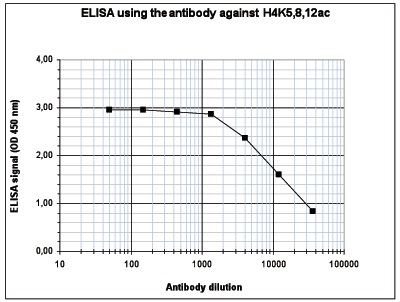 To determine the titer of the antibody, an ELISA was performed using a serial dilution of the Bioss antibody directed against H4K5,8,12ac (cat. No. bs-53096R) in antigen-coated wells. The antigen used was a peptide containing the histone modification of interest. By plotting the absorbance against the antibody dilution, the titer of the antibody was estimated to be 1:14,500.