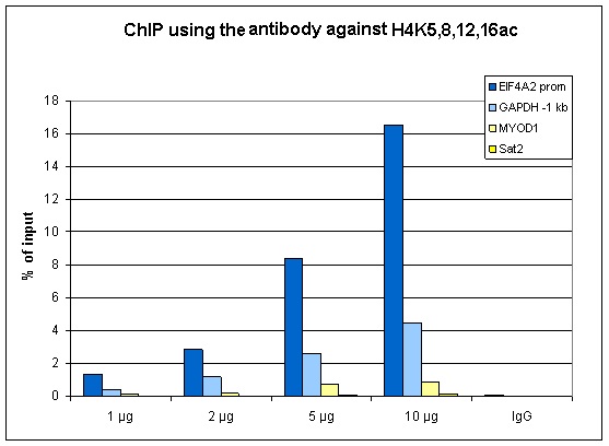 ChIP assays were performed using human HeLa cells, the Bioss antibody against H4K5,8,12,16ac (cat. No. bs-53098R) and optimized PCR primer sets for qPCR. ChIP was performed with a ChIP- seq kit on sheared chromatin from 1 million cells. A titration of the antibody consisting of 1, 2, 5 and 10 μg per ChIP experiment was analyzed. IgG (2 μg/IP) was used as negative IP control. QPCR was performed with primers for the promoter of the active gene EIF4A2 and for a region 1 kb upstream of the GAPDH gene, used as positive controls, and for the inactive MYOD1 gene and the Sat2 satellite repeat region used as negative controls. Figure 1 shows the recovery, expressed as a % of input (the relative amount of immunoprecipitated DNA compared to input DNA after qPCR analysis).