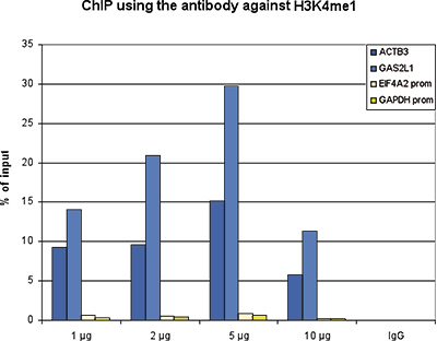 ChIP was performed with the Bioss antibody against H3K4me1 (Cat. No. bs-53106R) on sheared chromatin from 1 million HeLaS3 cells using a ChIP-seq kit. A titration of the antibody consisting of 1, 2, 5 and 10 μg per ChIP experiment was analyzed. IgG (2 μg/IP) was used as negative IP control. Quantitative PCR was performed with primers for a region surrounding the ACTB and GAS2L1 genes, used as positive controls, and for the promoters of the GAPDH and EIF4A2 genes, used as negative controls. The figure shows the recovery, expressed as a % of input (the relative amount of immunoprecipitated DNA compared to input DNA after qPCR analysis).