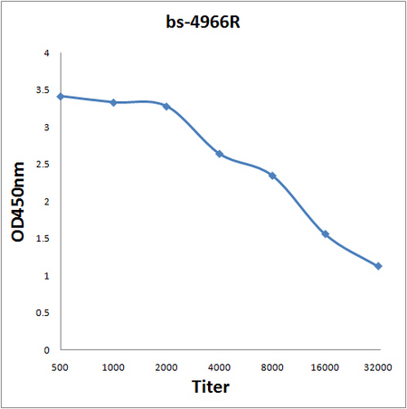 Antigen: bs-4966P, 0.2ug/100ul \nPrimary: Antiserum, 1:500, 1:1000, 1:2000, 1:4000, 1:8000, 1:16000, 1:32000; \nSecondary: HRP conjugated Goat-Anti-Rabbit IgG(bs-0295G-HRP) at 1: 5000;\nTMB staining;\nRead the data in MicroplateReader by 450