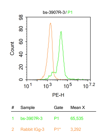 HL-60 cells were fixed with 4% PFA for 10min at room temperature, 0.2% PBST for 20 min at room temperature. 5% BSA blocking buffer was used for 30 min at room temperature. Cells were then stained with Legumain Polyclonal Antibody (bs-3907R) at 1:33 dilution for 30 min at room temperature and then washed twice with 2% BSA in PBS. Secondary Antibody (PE-conjugated) incubation was performed for 40 min at room temperature. Acquisitions of 20,000 events were performed. The graph shows cells stained with primary antibody (green), and isotype control (orange). HL-60 cells were fixed with 4% PFA for 10min at room temperature, 0.2% PBST for 20 min at room temperature. 5% BSA blocking buffer was used for 30 min at room temperature. Cells were then stained with Legumain Polyclonal Antibody (bs-3907R) at 1:33 dilution for 30 min at room temperature and then washed twice with 2% BSA in PBS. Secondary Antibody (PE-conjugated) incubation was performed for 40 min at room temperature. Acquisitions of 20,000 events were performed. The graph shows cells stained with primary antibody (green), and isotype control (orange).
