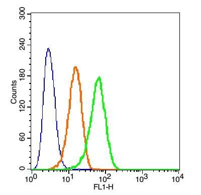 Blank control cells (blue): Hep G2 Cells (fixed with 2% paraformaldehyde (10 min) and then permeabilized with ice-cold 90% methanol for 30 min on ice). Primary Antibody: Rabbit Anti-beta Defensin 3 FITC Conjugated antibody (bs-7378R-FITC; green), Dilution: 1μg in 100 μL 1X PBS containing 0.5% BSA; Isotype Control Antibody: Rabbit IgG FITC Conjugated (orange), used under the same conditions. Blank control cells (blue): Hep G2 Cells (fixed with 2% paraformaldehyde (10 min) and then permeabilized with ice-cold 90% methanol for 30 min on ice). Primary Antibody: Rabbit Anti-beta Defensin 3 FITC Conjugated antibody (bs-7378R-FITC; green), Dilution: 1μg in 100 μL 1X PBS containing 0.5% BSA; Isotype Control Antibody: Rabbit IgG FITC Conjugated (orange), used under the same conditions.