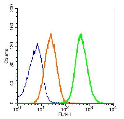 Blank control(blue): Raji Cells(fixed with 2% paraformaldehyde (10 min) and then permeabilized with ice-cold 90% methanol for 30 min on ice). Primary Antibody: Rabbit Anti-Engrailed 1 AF647 Conjugated antibody (bs-11744R-A647), Dilution: 0.2μg in 100 μL 1X PBS containing 0.5% BSA; Isotype Control Antibody: Rabbit IgG/FITC(orange) ,used under the same conditions.