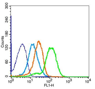 Mouse spleen cells (dark blue) were fixed with 2% paraformaldehyde for 10 min at 37℃. Primary antibody, Rabbit Anti-VCAM-1 antibody (bs-0396R, Green) at 1μg /8x10^5 cells was incubated for 30 min at room temperature, followed by 1 X PBS containing 0.5% BSA + 1 0% goat serum (1 hour) to block non-specific protein-protein interactions. Then Goat Anti-rabbit IgG/FITC (light blue) antibody was added into the blocking buffer mentioned above to react with the primary antibody at 1/200 dilution for 40 min at room temperature. Isotype control Rabbit IgG (orange) was analyzed under the same conditions.