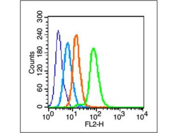 HepG2 cells probed with c-Jun Polyclonal Antibody, unconjugated (bs-0670R) at 1:100 dilution for 30 minutes compared to control cells (dark blue), secondary only (light blue) and isotype control (orange)
