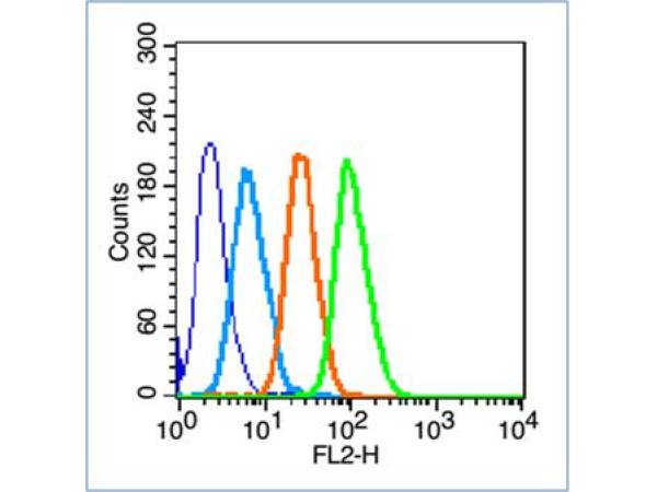 HepG2 cells probed with AP-TNAP/ALPL Polyclonal Antibody, unconjugated (bs-1535R) at 1:100 dilution for 30 minutes compared to control cells (dark blue), secondary only (light blue) and isotype control (orange)