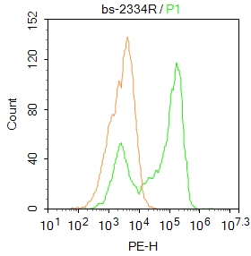 HepG2 cells were fixed with 4% PFA for 10min at room temperature,permeabilized with 90% ice-cold methanol for 20 min at -20℃, and incubated in 5% BSA blocking buffer for 30 min at room temperature. Cells were then stained with PXR (bs-2334R)at 1:500 dilution in blocking buffer and incubated for 30 min at room temperature, washed twice with 2%BSA in PBS, followed by secondary antibody incubation for 40 min at room temperature. Acquisitions of 20,000 events were performed. Cells stained with primary antibody (green), and isotype control (orange).