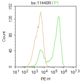 HepG2 cells were fixed with 4% PFA for 10min at room temperature,permeabilized with 90% ice-cold methanol for 20 min at -20℃, and incubated in 5% BSA blocking buffer for 30 min at room temperature. Cells were then stained with Thyroid Hormone Receptor beta (bs-11440R)at 1:50 dilution in blocking buffer and incubated for 30 min at room temperature, washed twice with 2%BSA in PBS, followed by secondary antibody incubation for 40 min at room temperature. Acquisitions of 20,000 events were performed. Cells stained with primary antibody (green), and isotype control (orange).