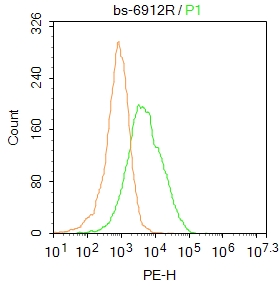 HepG2 cells were fixed with 4% PFA for 10min at room temperature,permeabilized with 20% PBST for 20 min at room temperature, and incubated in 5% BSA blocking buffer for 30 min at room temperature. Cells were then stained with Cyclin M2 Antibody (bs-6912R)at 1:50 dilution in blocking buffer and incubated for 30 min at room temperature, washed twice with 2%BSA in PBS, followed by secondary antibody incubation for 40 min at room temperature. Acquisitions of 20,000 events were performed. Cells stained with primary antibody (green), and isotype control (orange).