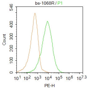 Mouse spleen cells were incubated in 5% BSA blocking buffer for 30 min at room temperature. Cells were then stained with GRIN1 Polyclonal Antibody (bs-1068R) at 1:50 dilution in blocking buffer and incubated for 30 min at room temperature, washed twice with 2%BSA in PBS, followed by secondary antibody incubation for 40 min at room temperature. Acquisitions of 20,000 events were performed. Cells stained with primary antibody (green), and isotype control (orange).