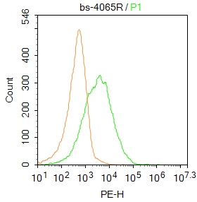 Mouse spleen cells were incubated in 5% BSA blocking buffer for 30 min at room temperature. Cells were then stained with ATP receptor Polyclonal Antibody (bs-4065R) at 1:50 dilution in blocking buffer and incubated for 30 min at room temperature, washed twice with 2%BSA in PBS, followed by secondary antibody incubation for 40 min at room temperature. Acquisitions of 20,000 events were performed. Cells stained with primary antibody (green), and isotype control (orange).
