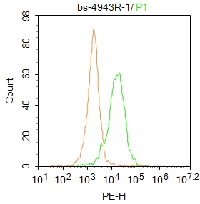 HL-60 cells were fixed with 4% PFA for 10min at room temperature,20% PBST for 20 min at room temperature, and incubated in 5% BSA blocking buffer for 30 min at room temperature. Cells were then stained with MPO Polyclonal Antibody (bs-4943R)at 1:50 dilution in blocking buffer and incubated for 30 min at room temperature, washed twice with 2%BSA in PBS, followed by secondary antibody incubation for 40 min at room temperature. Acquisitions of 20,000 events were performed. Cells stained with primary antibody (green), and isotype control (orange).