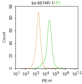 HL-60 cells were fixed with 4% PFA for 10min at room temperature,20% PBST for 20 min at room temperature, and incubated in 5% BSA blocking buffer for 30 min at room temperature. Cells were then stained with Catalase Polyclonal Antibody (bs-6874R)at 1:50 dilution in blocking buffer and incubated for 30 min at room temperature, washed twice with 2%BSA in PBS, followed by secondary antibody incubation for 40 min at room temperature. Acquisitions of 20,000 events were performed. Cells stained with primary antibody (green), and isotype control (orange).