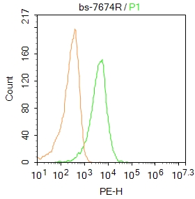 Mlt-4 cells were incubated in 5% BSA blocking buffer for 30 min at room temperature. Cells were then stained with Porimin Polyclonal Antibody (bs-7674R)at 1:50 dilution in blocking buffer and incubated for 30 min at room temperature, washed twice with 2%BSA in PBS, followed by secondary antibody incubation for 40 min at room temperature. Acquisitions of 20,000 events were performed. Cells stained with primary antibody (green), and isotype control (orange).