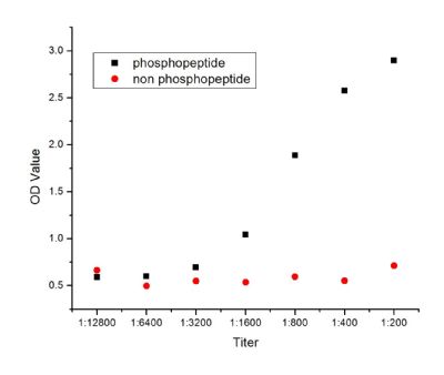 An ELISA was performed using a serial dilution of PPAR Gamma (ser273) Polyclonal Antibody (bs-4888R) in antigen-coated wells. The antigen used was a peptide containing the phosphosite of interest. The plot shows the absorbance against the antibody dilution for phosphopeptide antigen and non-phosphorylated peptide antigen.