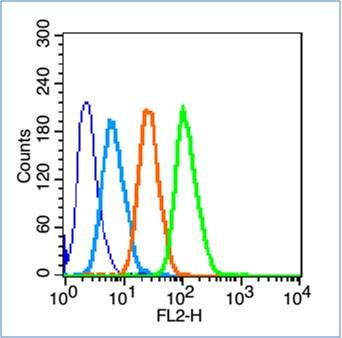 Human Hep G2 Cells fixed with 70% methanol (Overnight at 4℃). Cells were then probed with Placental Alkaline Phosphatase Polyclonal Antibody, Unconjugated (bs-20015R) (green) at 1:100 for 30 minutes followed by a PE-conjugated secondary antibody compared to unstained cells (dark blue), secondary only (light blue), and isotype control (orange).