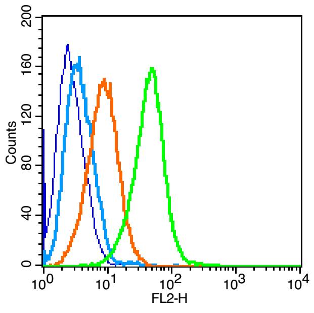 Human Raji Cells were fixed with 2% PFA (10min at room temperature). The cells were then incubated in 1 X PBS containing 0.5% BSA + 10% goat serum to block non-specific protein-protein interactions for 15 min at room temperature. Staining with IL4R Polyclonal Antibody, Unconjugated (bs-2458R) was performed at 1:100 for 30 min at room temperature. The secondary antibody, Goat anti-rabbit IgG-PE, was used at a 1:200 dilution for 40 min at room temperature. Primary antibody staining (green) is compared to compared to unstained cells (dark blue), secondary only (light blue), and isotype control (orange). Human Raji Cells were fixed with 2% PFA (10min at room temperature). The cells were then incubated in 1 X PBS containing 0.5% BSA + 10% goat serum to block non-specific protein-protein interactions for 15 min at room temperature. Staining with IL4R Polyclonal Antibody, Unconjugated (bs-2458R) was performed at 1:100 for 30 min at room temperature. The secondary antibody, Goat anti-rabbit IgG-PE, was used at a 1:200 dilution for 40 min at room temperature. Primary antibody staining (green) is compared to compared to unstained cells (dark blue), secondary only (light blue), and isotype control (orange).