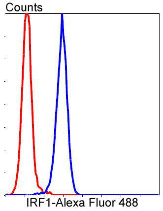 Flow cytometric analysis of Jurkat cells with IRF1 (3G7) Monoclonal Antibody (bsm-52114R) at 1:50 dilution (blue) compared with an unlabelled control (cells without incubation with primary antibody; red). Alexa Fluor 488-conjugated goat anti rabbit IgG was used as the secondary antibody.