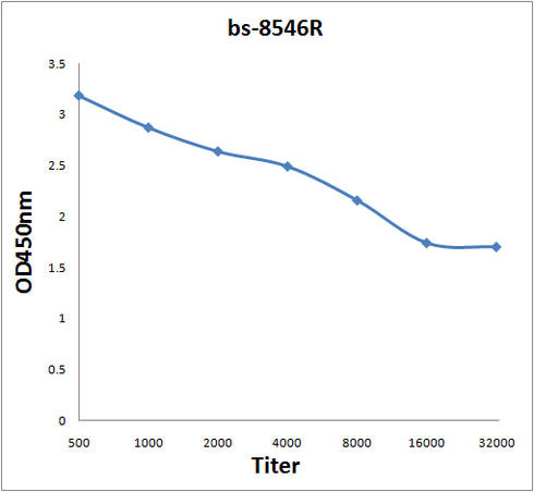 Antigen: bs-8546P, 0.2ug/100ul \nPrimary: Antiserum, 1:500, 1:1000, 1:2000, 1:4000, 1:8000, 1:16000, 1:32000; \nSecondary: HRP conjugated Goat-Anti-Rabbit IgG(bs-0295G-HRP) at 1: 5000;\nTMB staining;\nRead the data in MicroplateReader by 450