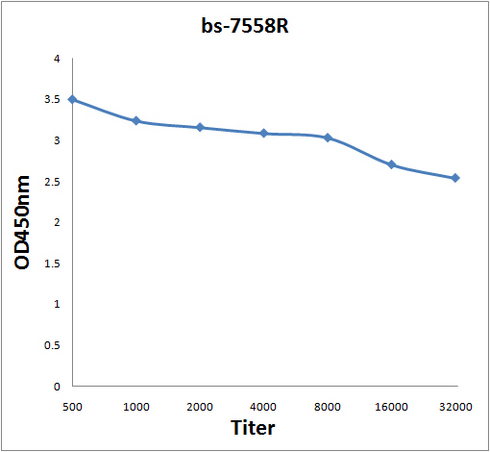 Antigen: bs-7558P, 2ug/100ul \nPrimary: Antiserum, 1:500, 1:1000, 1:2000, 1:4000, 1:8000, 1:16000, 1:32000; \nSecondary: HRP conjugated Rabbit Anti-Goat IgG(bs-0294R-HRP) at 1: 5000; \nTMB staining\nRead the data in Microplate Reader by 450nm. \n