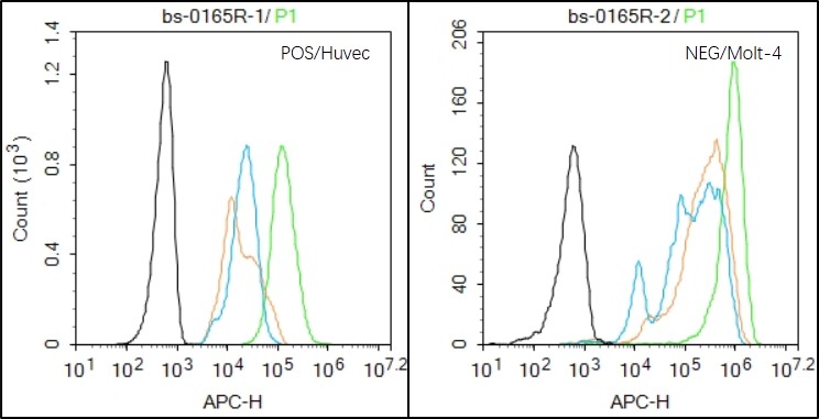 RSC96（Positive）and HL-60（Negative control）cells (black) were fixed with 4% PFA for 10min at room temperature, permeabilized with 90% ice-cold methanol for 20 min at -20℃, and incubated in 5% BSA blocking buffer for 30 min at room temperature. Cells were then stained with HB9/HLXB9 Antibody(bs-11320R)at 1:50 dilution in blocking buffer and incubated for 30 min at room temperature, washed twice with 2% BSA in PBS, followed by secondary antibody(blue) incubation for 40 min at room temperature. Acquisitions of 20,000 events were performed. Cells stained with primary antibody (green), and isotype control (orange)._x000D_