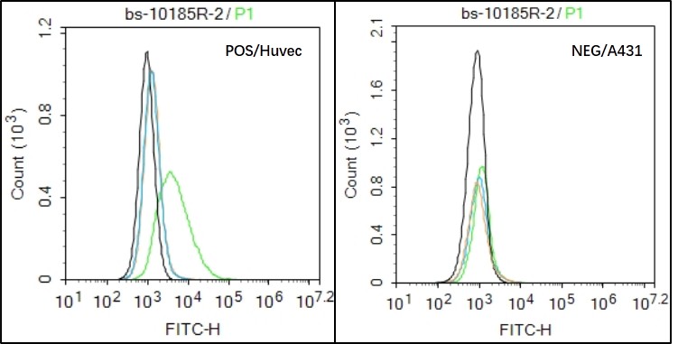 Huvec (Positive) and A431 (Negative control) cells (black) were incubated in 5% BSA blocking buffer for 30 min at room temperature. Cells were then stained with CMKLR1 Antibody (bs-10185R)at 1:50 dilution in blocking buffer and incubated for 30 min at room temperature, washed twice with 2% BSA in PBS, followed by secondary antibody(blue) incubation for 40 min at room temperature. Acquisitions of 20,000 events were performed. Cells stained with primary antibody (green), and isotype control (orange).