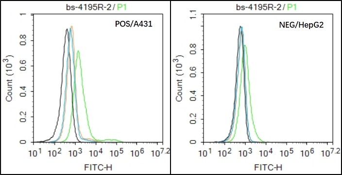 A431 (Positive) and HepG2 (Negative control) cells (black) were incubated in 5% BSA blocking buffer for 30 min at room temperature. Cells were then stained with ADAM8 Antibody (bs-4195R) at 1:50 dilution in blocking buffer and incubated for 30 min at room temperature, washed twice with 2% BSA in PBS, followed by secondary antibody(blue) incubation for 40 min at room temperature. Acquisitions of 20,000 events were performed. Cells stained with primary antibody (green), and isotype control (orange).