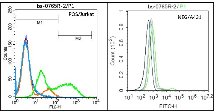 Jurkat (Positive) and A431 (Negative control) cells (black) were incubated in 5% BSA blocking buffer for 30 min at room temperature. Cells were then stained with CD3 epsilon Polyclonal Antibody (bs-0765R) at 1:50 dilution in blocking buffer and incubated for 30 min at room temperature, washed twice with 2% BSA in PBS, followed by secondary antibody(blue) incubation for 40 min at room temperature. Acquisitions of 20,000 events were performed. Cells stained with primary antibody (green), and isotype control (orange).