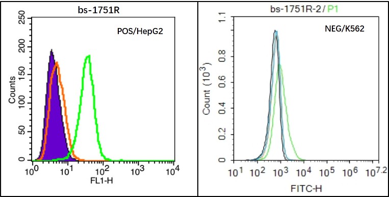HepG2 (Positive) and K562 (Negative control) cells (black) were incubated in 5% BSA blocking buffer for 30 min at room temperature. Cells were then stained with EAAT2 Antibody (bs-1751R) at 1:50 dilution in blocking buffer and incubated for 30 min at room temperature, washed twice with 2% BSA in PBS, followed by secondary antibody(blue) incubation for 40 min at room temperature. Acquisitions of 20,000 events were performed. Cells stained with primary antibody (green), and isotype control (orange).