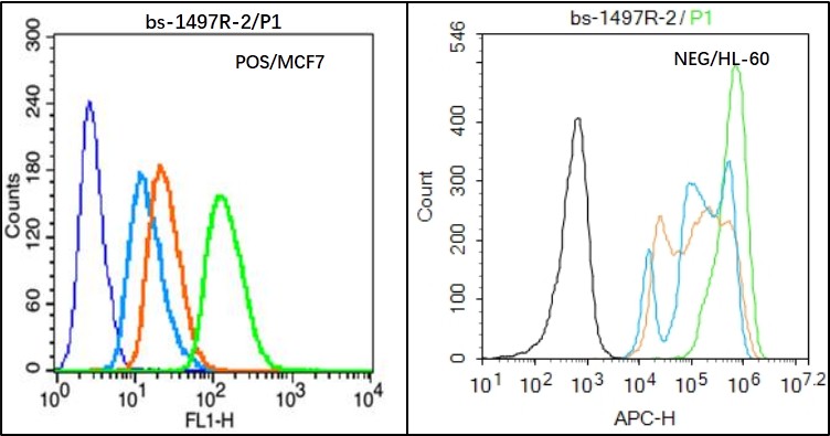 MCF7 (Positive) and HL-60 (Negative control) cells (black) were fixed with 4% PFA for 10min at room temperature, permeabilized with 20% PBST for 20 min at room temperature, and incubated in 5% BSA blocking buffer for 30 min at room temperature. Cells were then stained with MUC1 Antibody (bs-1497R) at 1:50 dilution in blocking buffer and incubated for 30 min at room temperature, washed twice with 2% BSA in PBS, followed by secondary antibody(blue) incubation for 40 min at room temperature. Acquisitions of 20,000 events were performed. Cells stained with primary antibody (green), and isotype control (orange).