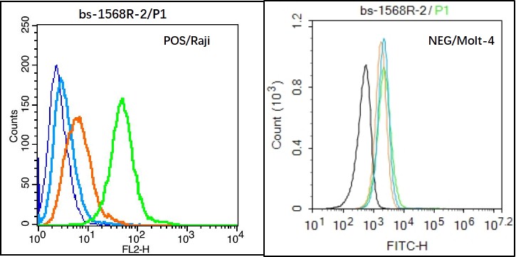 Raji (Positive) and Molt-4 (Negative control) cells (black) were fixed with 4% PFA for 10min at room temperature, permeabilized with 20% PBST for 20 min at room temperature, and incubated in 5% BSA blocking buffer for 30 min at room temperature. Cells were then stained with ENPP3/CD203c Antibody (bs-1568R) at 1:50 dilution in blocking buffer and incubated for 30 min at room temperature, washed twice with 2% BSA in PBS, followed by secondary antibody(blue) incubation for 40 min at room temperature. Acquisitions of 20,000 events were performed. Cells stained with primary antibody (green), and isotype control (orange). Raji (Positive) and Molt-4 (Negative control) cells (black) were fixed with 4% PFA for 10min at room temperature, permeabilized with 20% PBST for 20 min at room temperature, and incubated in 5% BSA blocking buffer for 30 min at room temperature. Cells were then stained with ENPP3/CD203c Antibody (bs-1568R) at 1:50 dilution in blocking buffer and incubated for 30 min at room temperature, washed twice with 2% BSA in PBS, followed by secondary antibody(blue) incubation for 40 min at room temperature. Acquisitions of 20,000 events were performed. Cells stained with primary antibody (green), and isotype control (orange).