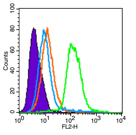 U87MG cells were fixed with 4% PFA (10min at room temperature) and then were incubated in 5%BSA to block non-specific protein-protein interactions for 30 min at room temperature. The cells were then stained with SCF Polyclonal Antibody, Unconjugated (bs-0545R) at 1:100 for 30 min at room temperature. A Goat anti-rabbit IgG-PE (bs-0295G-PE) secondary antibody was used at 1ug for 40 min at room temperature. Acquisition of 20,000 events was performed. Primary antibody staining (green) is compared to compared to unstained cells (purple), secondary only (light blue), and isotype control (orange).