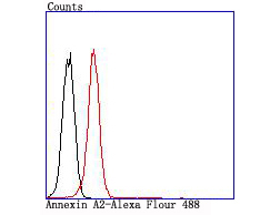 Flow cytometric analysis of K562 cells with Annexin A2 (2F4) Monoclonal Antibody (bsm-54021R) at 1:100 dilution (red) compared with an unlabeled control (cells without incubation with primary antibody; black).